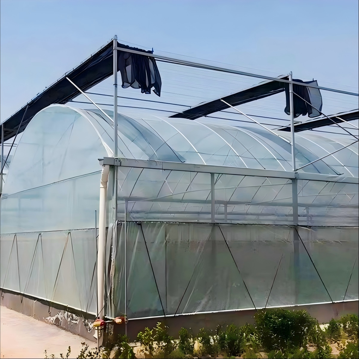 greenhouse information